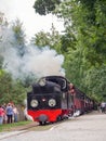The historic narrow-gauge steam locomotive from ÃÂ»nin to Gasawa leaves the station in Biskupin